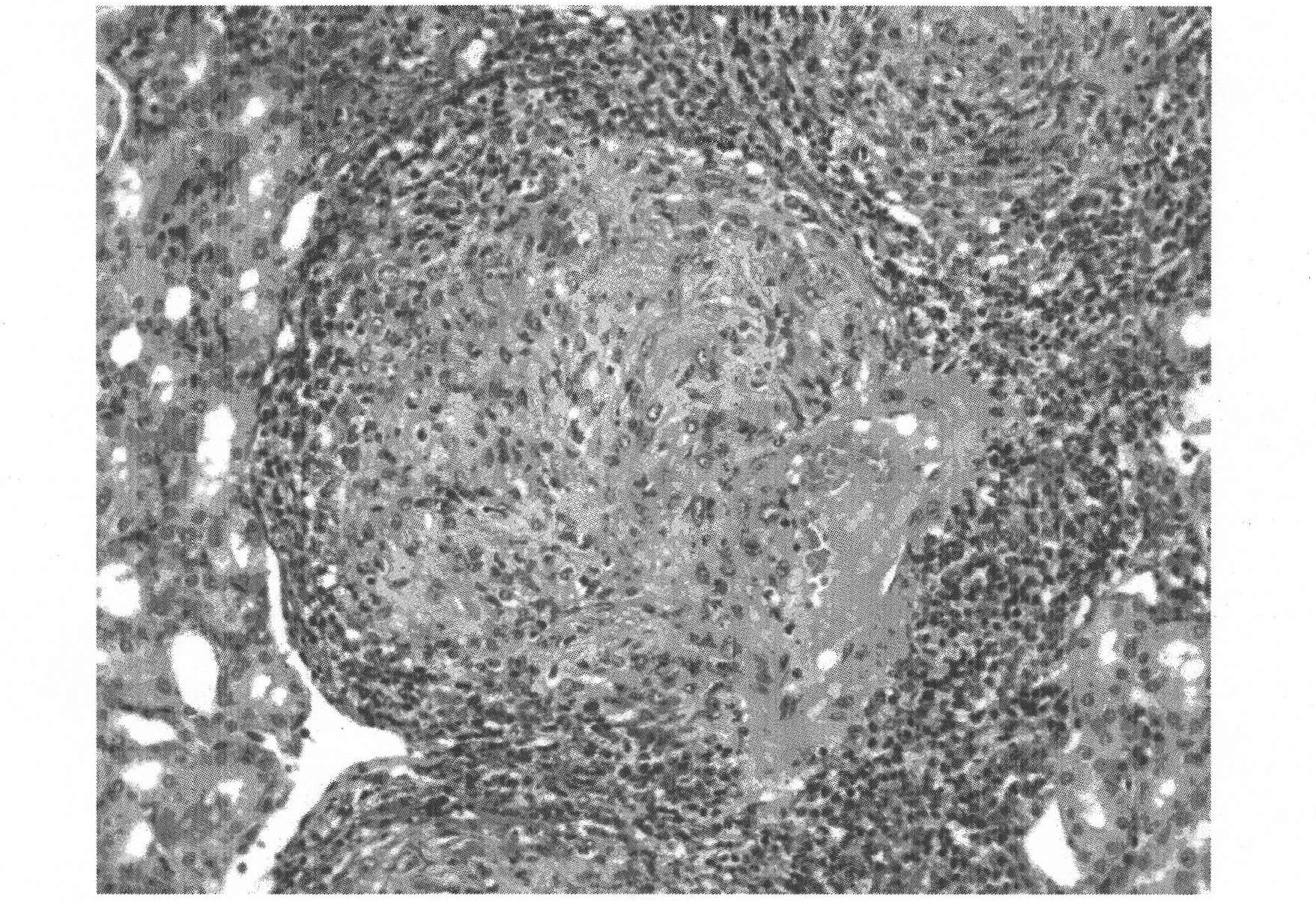 Chinese traditional medicine capsule for treating lupus erythematosus and preparation method thereof