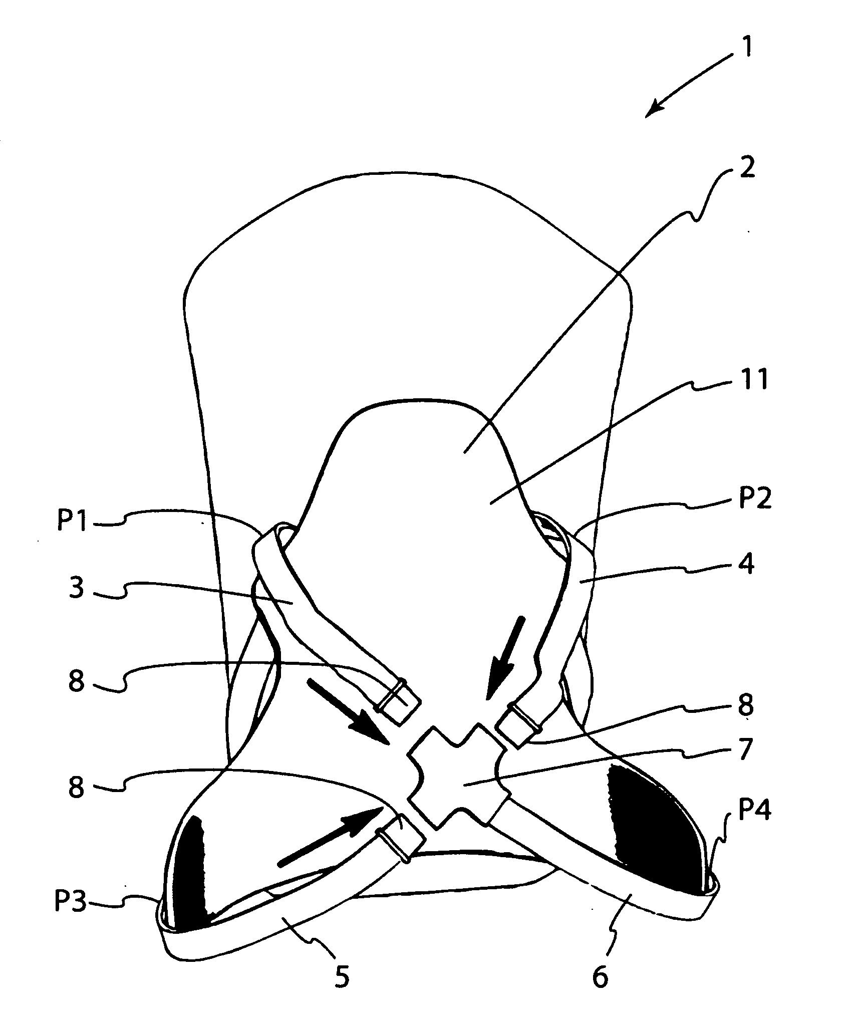 Carrying system