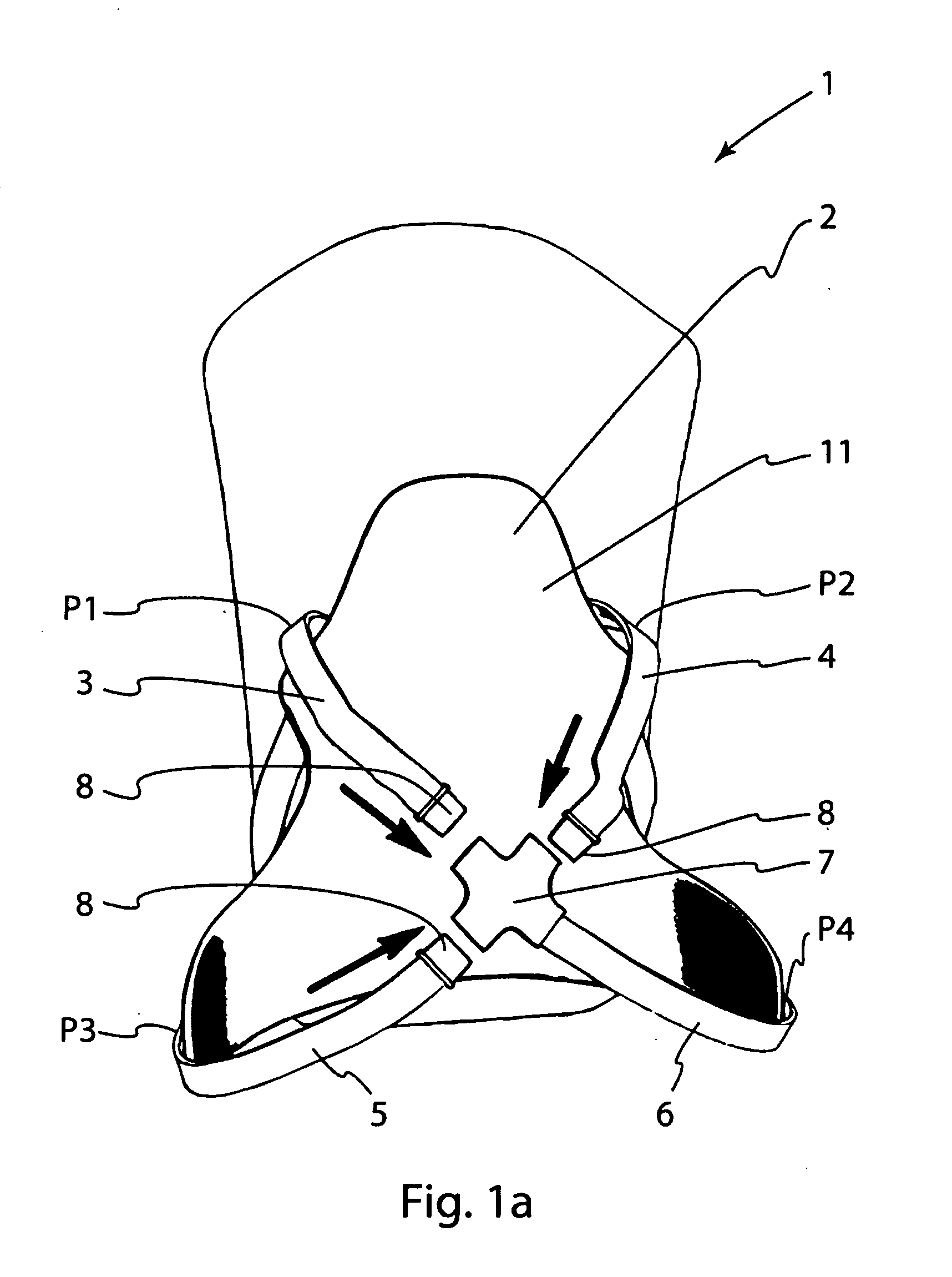 Carrying system