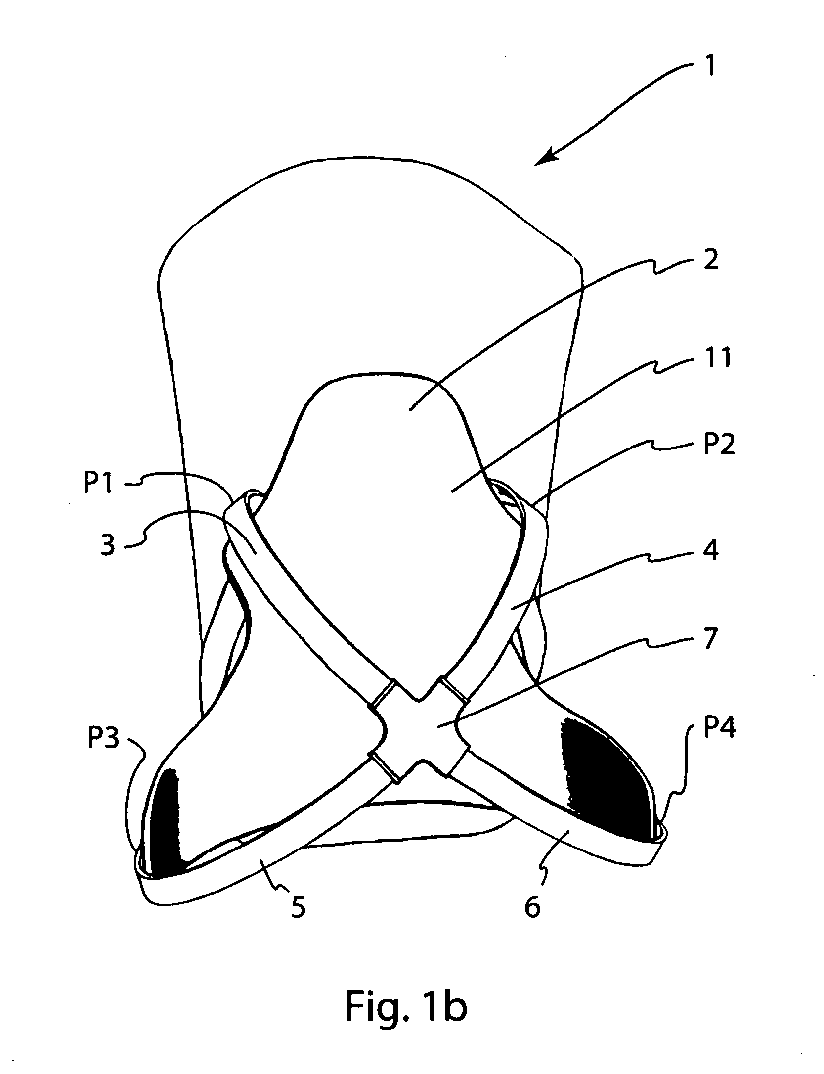 Carrying system