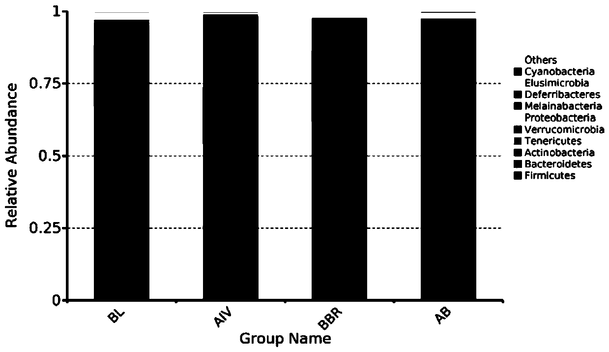 Traditional Chinese medicine composition and application thereof, and medicine containing traditional Chinese medicine composition