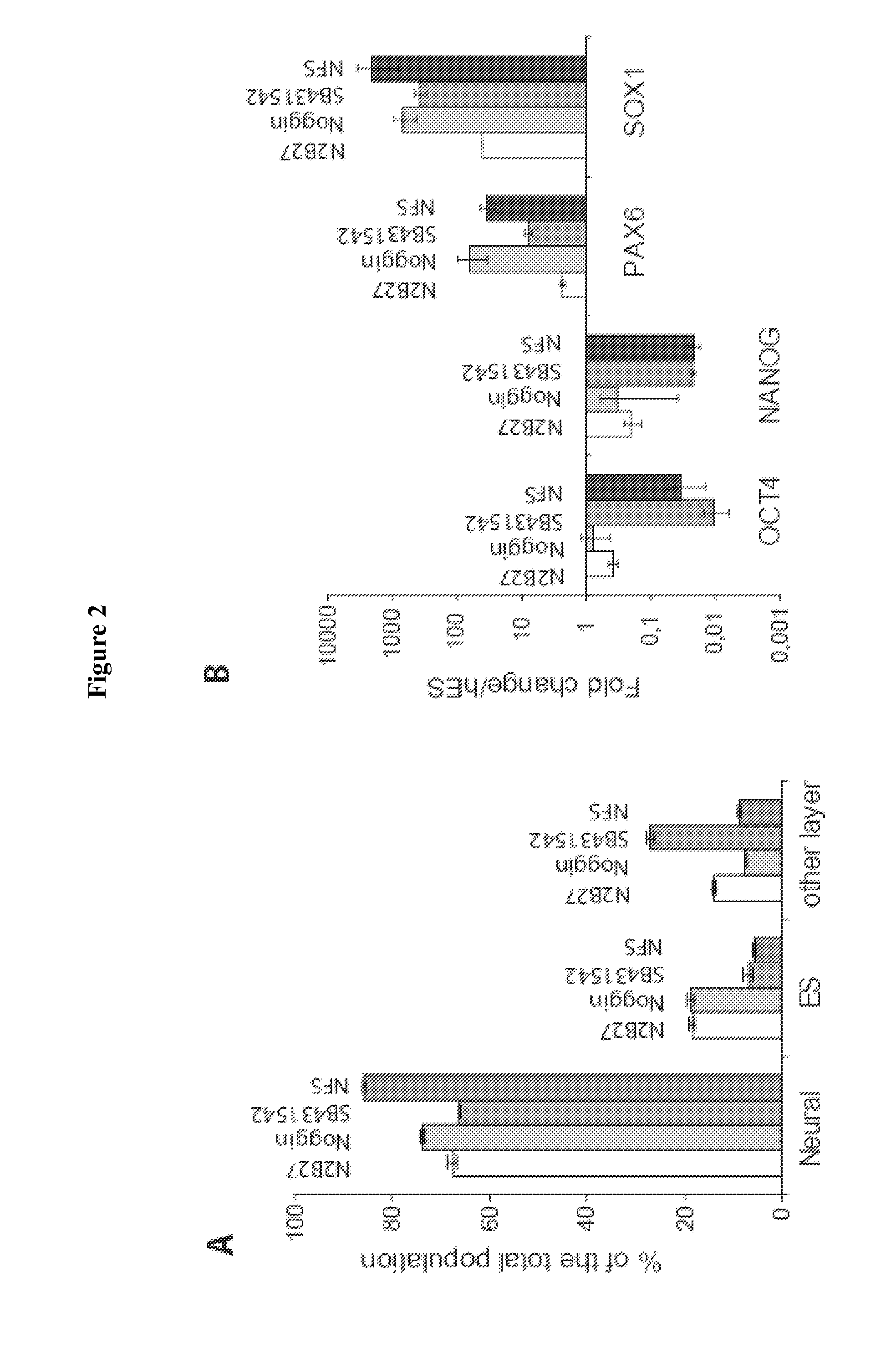 Method and Medium for Neural Differentiation of Pluripotent Cells