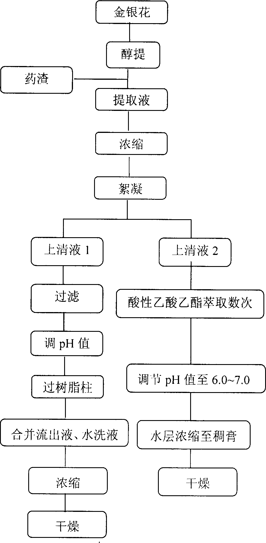 Extracting and purifying method for chlorogenic acid in honeysuckle