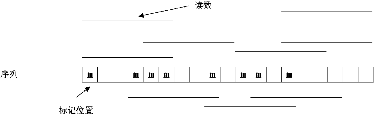 Read and distance distribution based genome De novo sequence splicing method