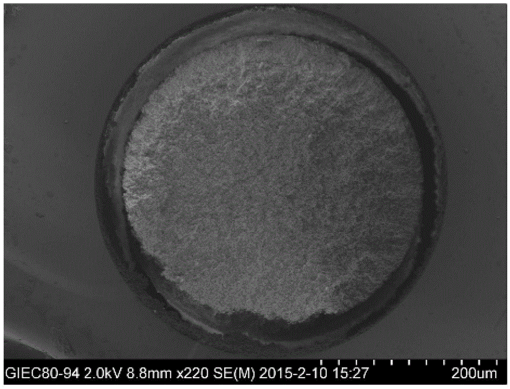 A large-size hydrophilic organic polymer liquid phase monolithic chromatographic column and its preparation and application