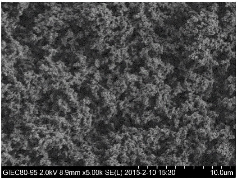 A large-size hydrophilic organic polymer liquid phase monolithic chromatographic column and its preparation and application