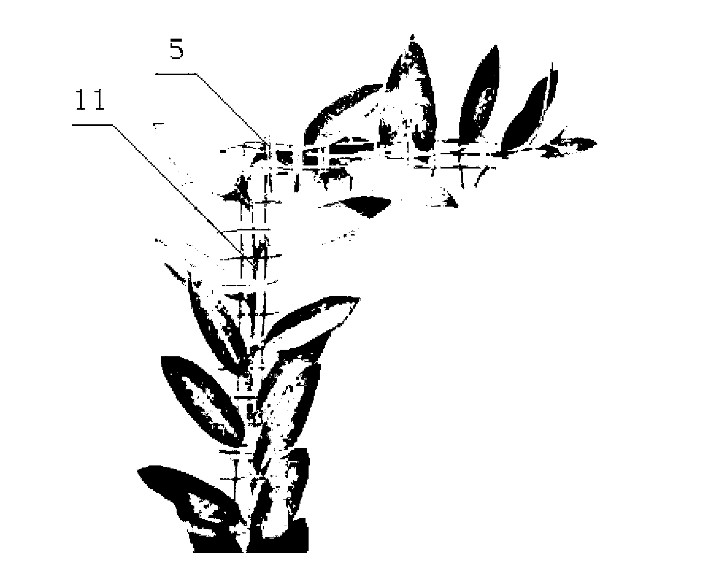 Method for shaping scaling ladder type plastic-dipped metal rack tree