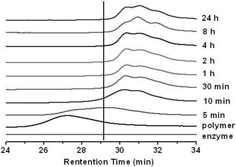 Enzyme degradation-controllable anti-nonspecific protein adsorption polypeptide and monomer and preparation method thereof