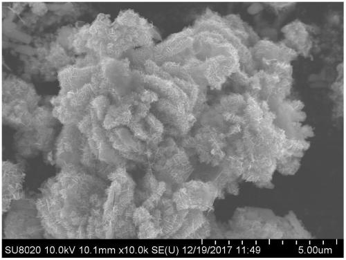 Method for preparing SrNb2O6 (strontium niobate)/SrCO3 (strontium carbonate) composite nanometer material