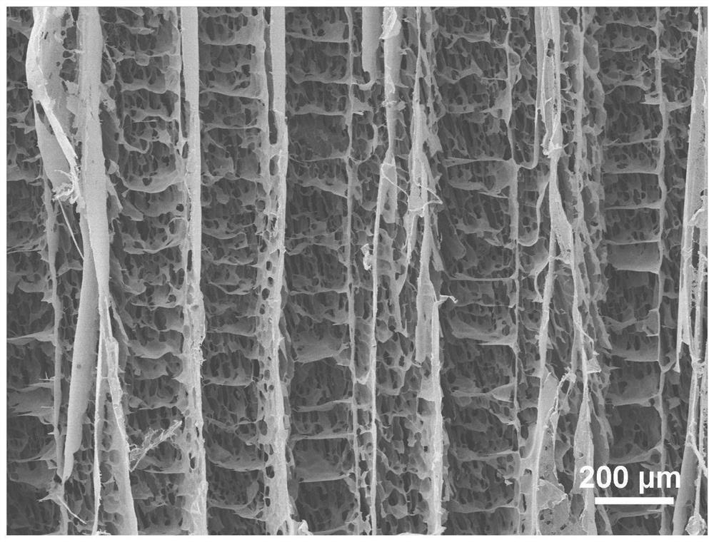 ANFs/MXene composite electromagnetic shielding aerogel and preparation method thereof