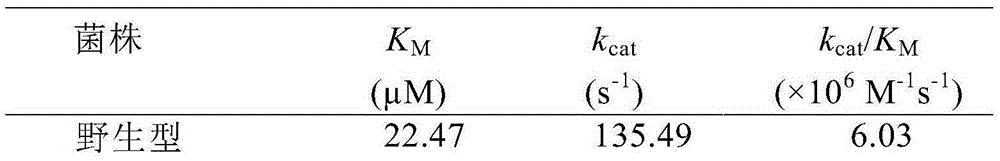 Thermophilic esterase AFEST mutant and screening method and application thereof