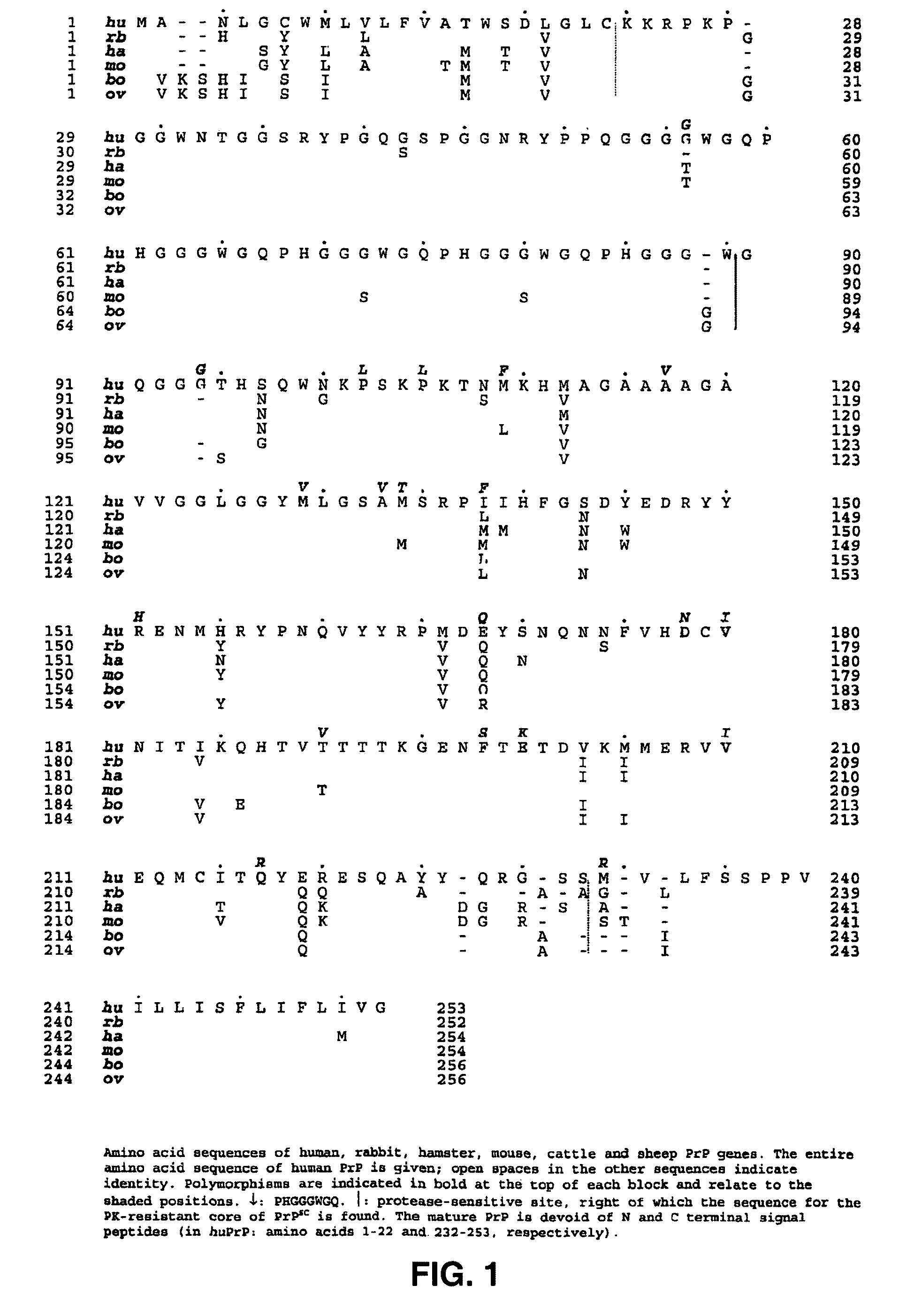 Prion test