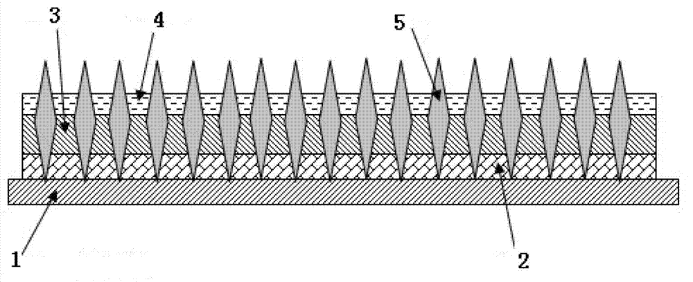 Film-based electrostatic sand-planting grinding belt and preparation method thereof