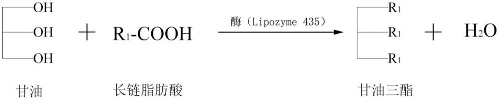 A kind of preparation method and application of grease that can customize sn-2 position fatty acid