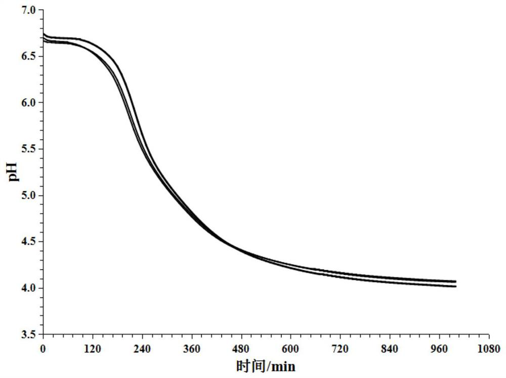 Application of lactobacillus plantarum in preparation of composition for relieving chronic inflammation of organism