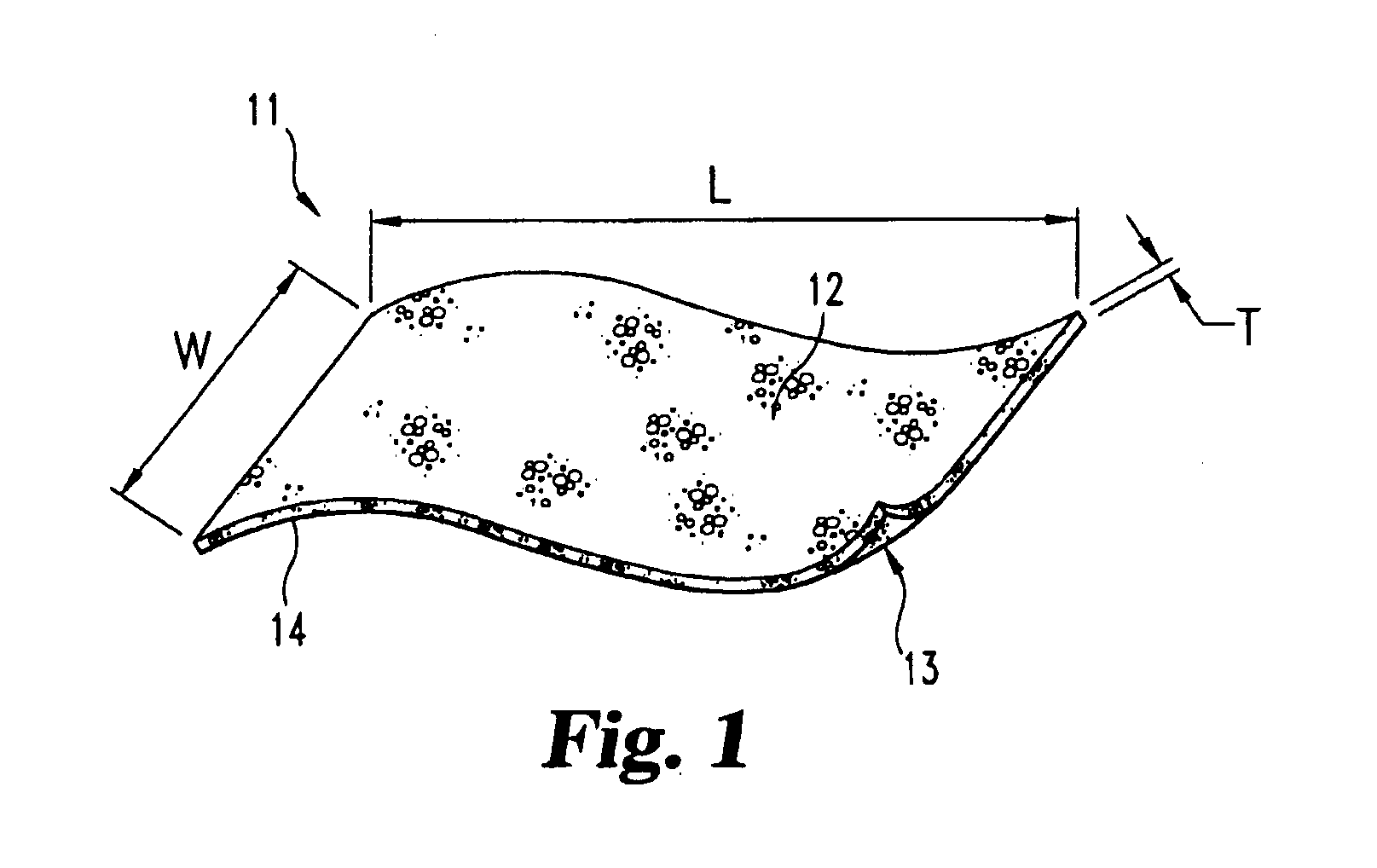 Demineralized bone matrix devices