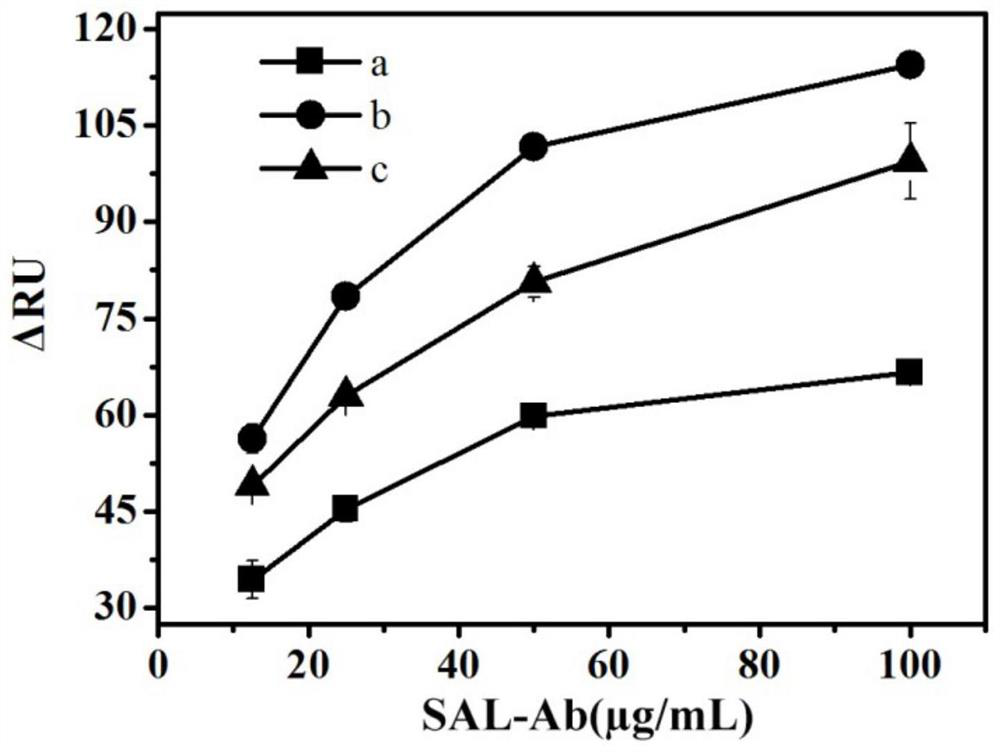 Method for detecting salbutamol based on SPR technology