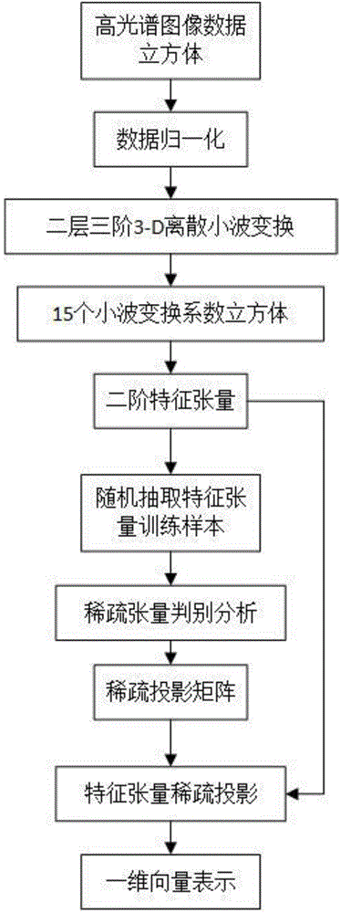 Hyperspectral image feature extraction method based on 3-D wavelet transform and sparse tensor