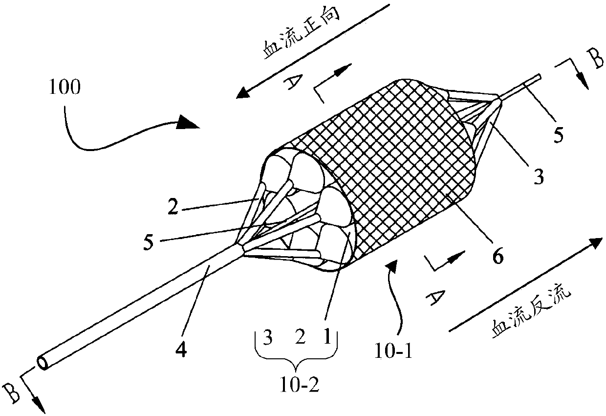 Dilatation balloon and balloon dilatation catheter