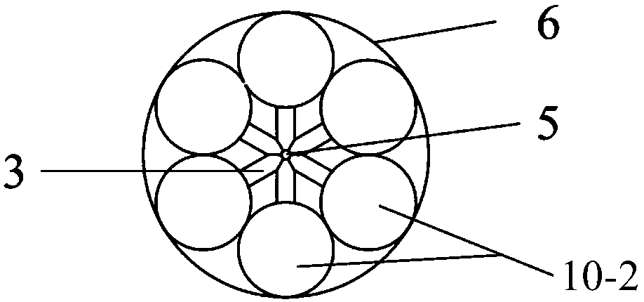 Dilatation balloon and balloon dilatation catheter