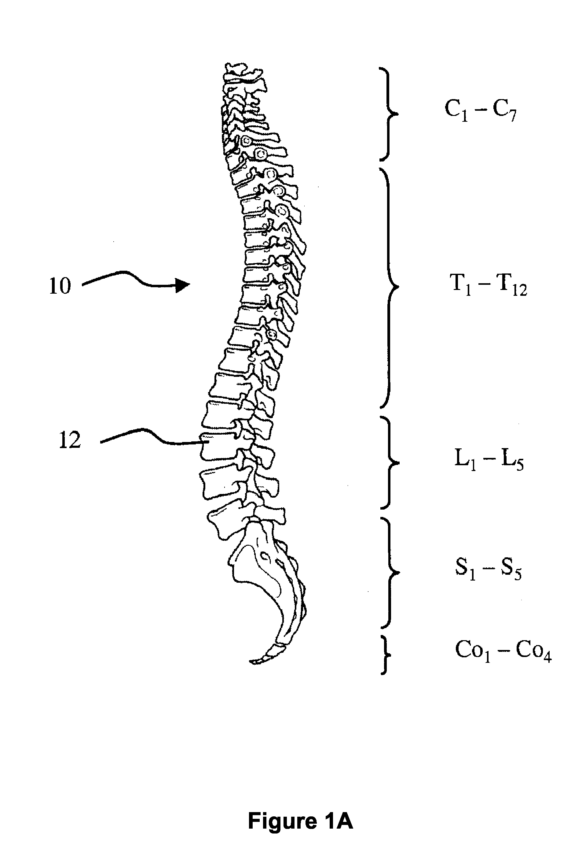 Methods, systems and devices for a clinical data reporting and surgical navigation