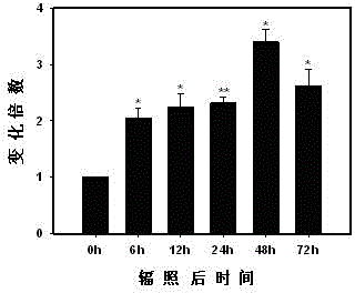 Application of circulating blood miR-34a in radiation monitoring as radiation biomarker