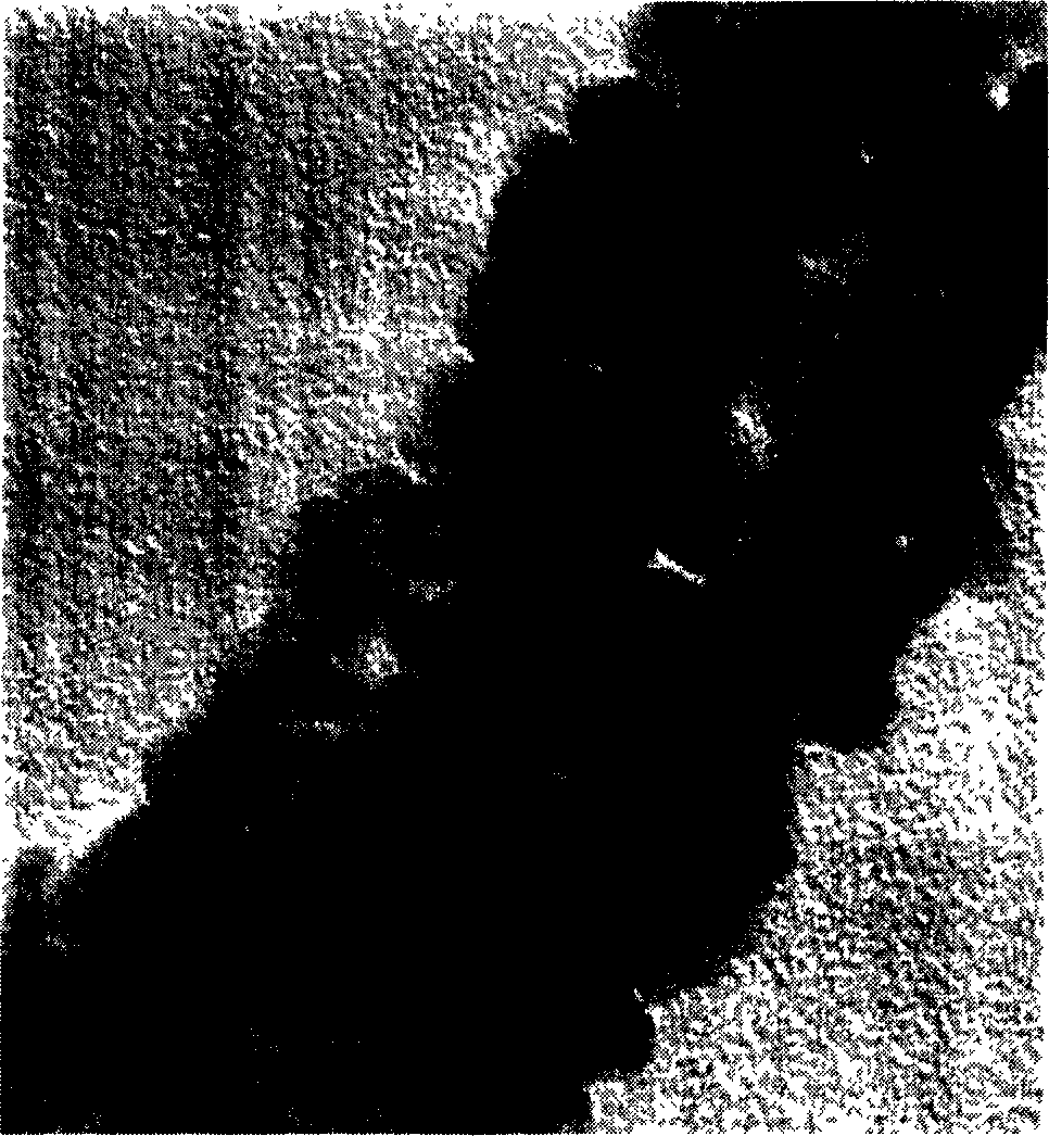 Method of depositing high density loading metal platinum on carbon nanometer pipe surface using oriented chemistry