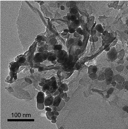 Method for preparing Fe3O4 nanoparticle/graphene composite material by sol electrostatic self-assembly process and application thereof