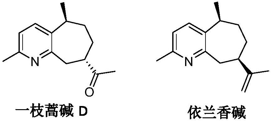 Method for preparing guaipyridine type sesquiterpenoid alkaloid