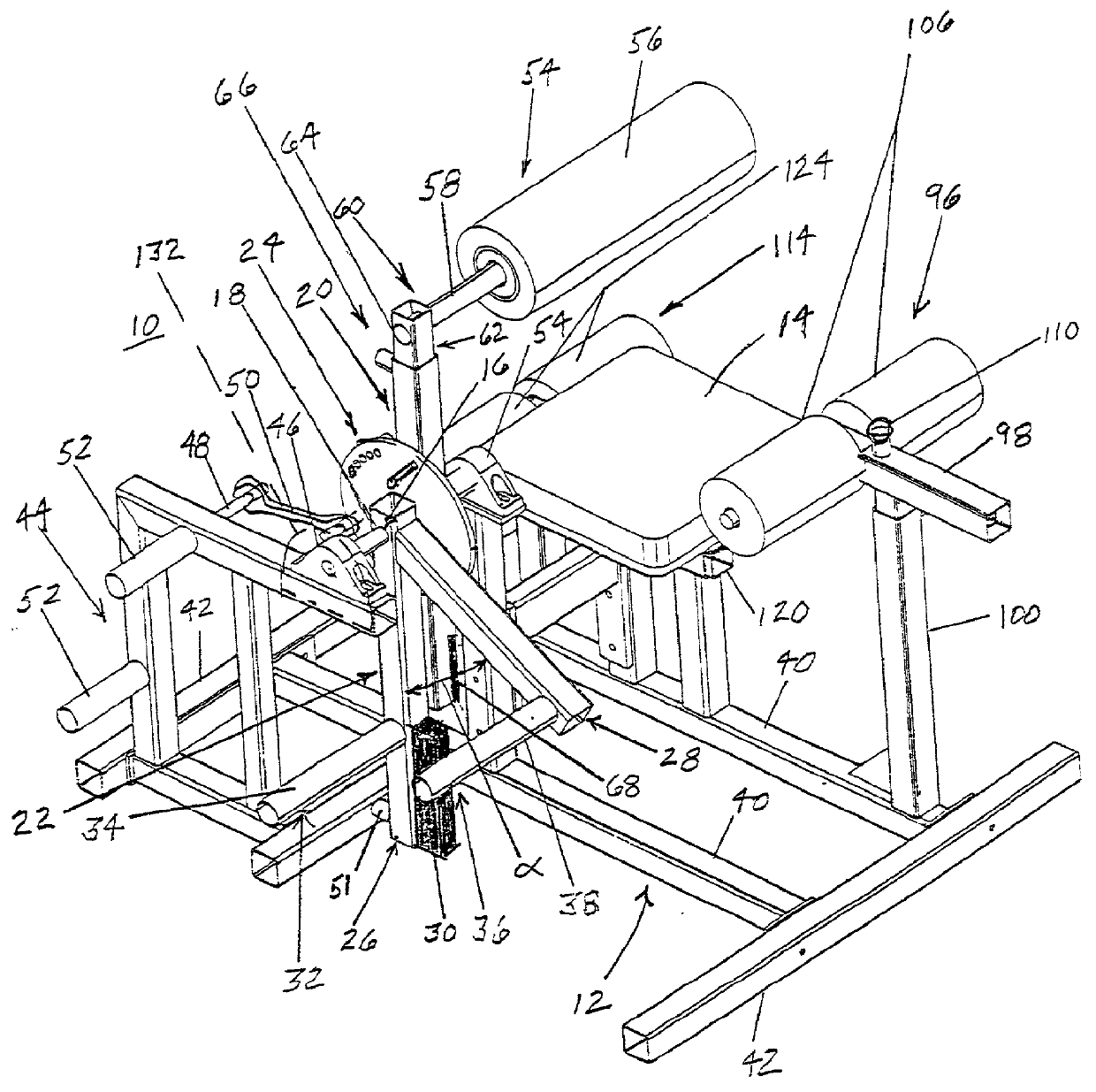 Training device designed to improve the physical readiness level of the low back and pelvic girdle