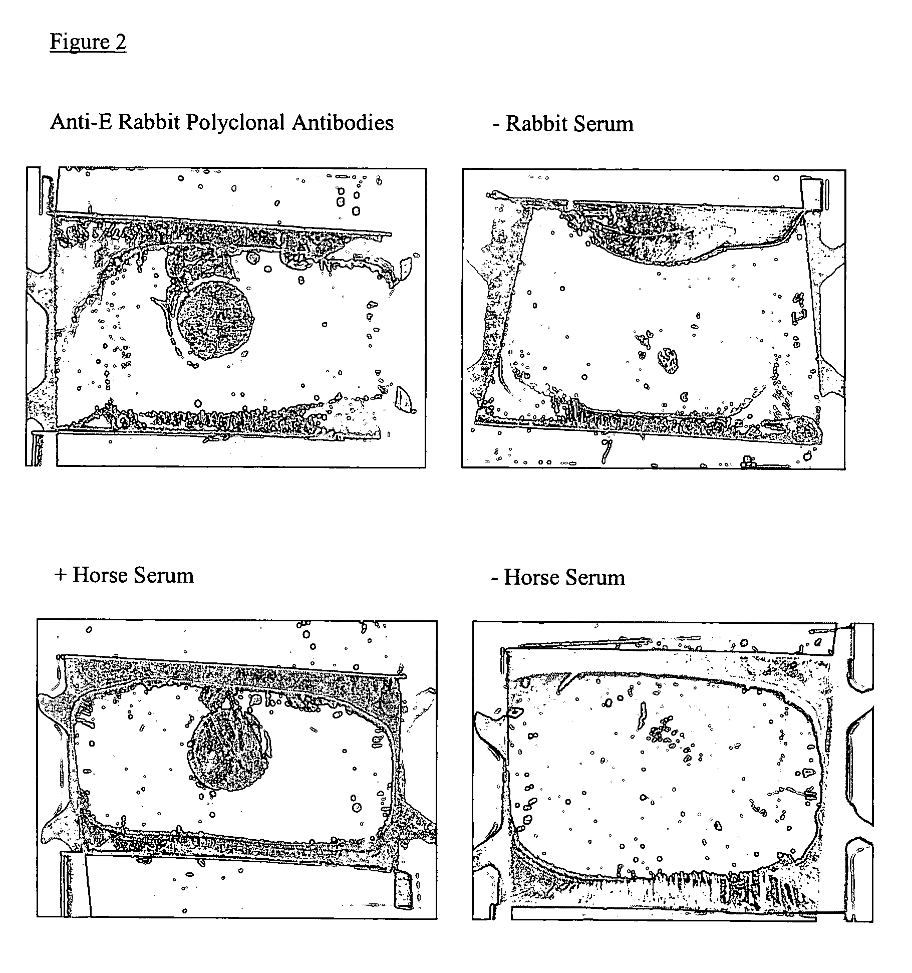 Liquid crystal based analyte detection