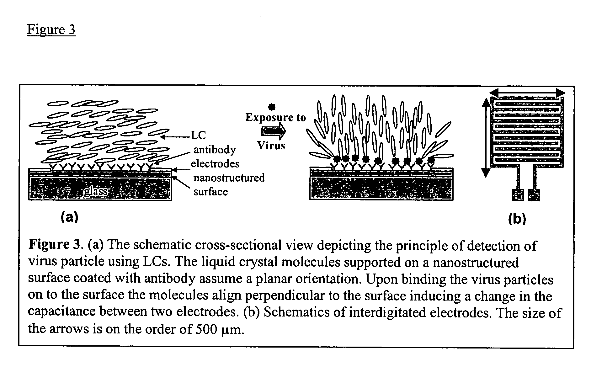 Liquid crystal based analyte detection