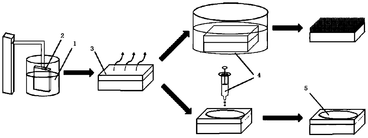 CDs/TiO2 film, and preparation method and application thereof