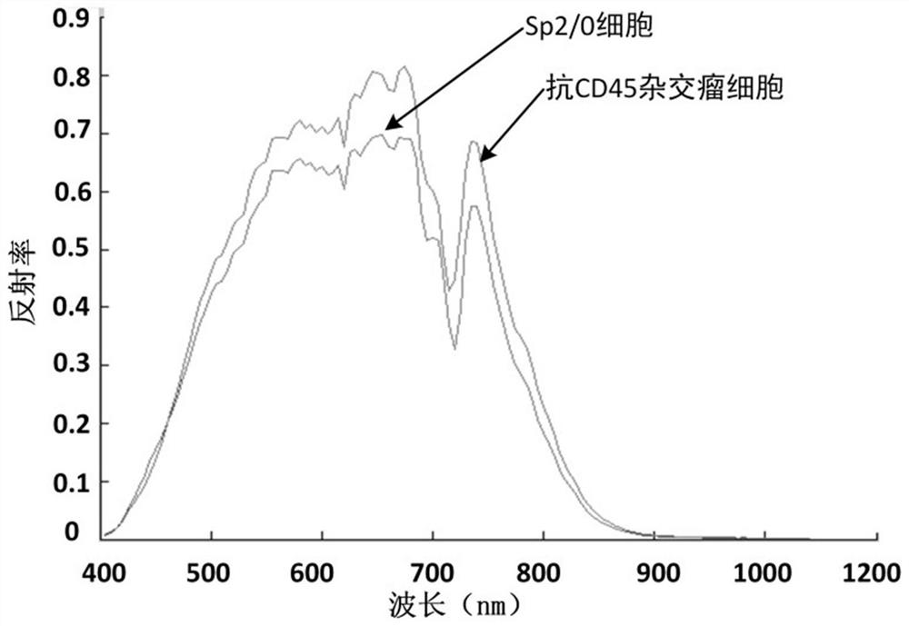 Method for detecting monoclonal antibody and application thereof