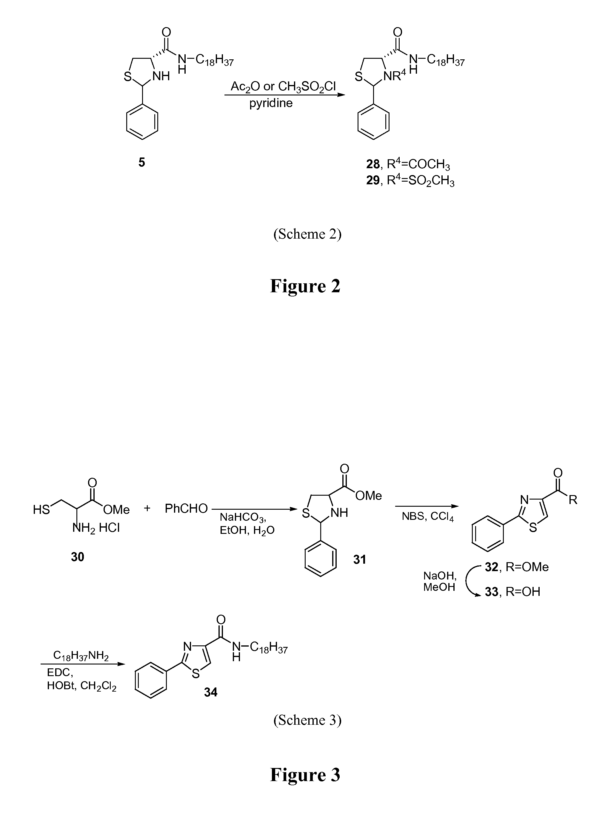 Thiazolidinone amides, thiazolidine carboxylic acid amides, and serine amides, including polyamine conjugates thereof, as selective Anti-cancer agents