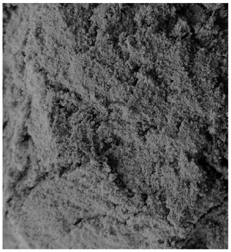 Silkworm moth/mulberry leaf composite superfine powder and preparation method thereof