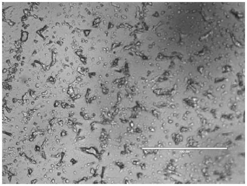 Silkworm moth/mulberry leaf composite superfine powder and preparation method thereof