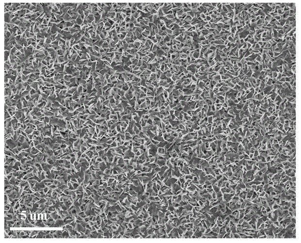 Preparation and application of plasma gold/zinc oxide composite nanosheet array device