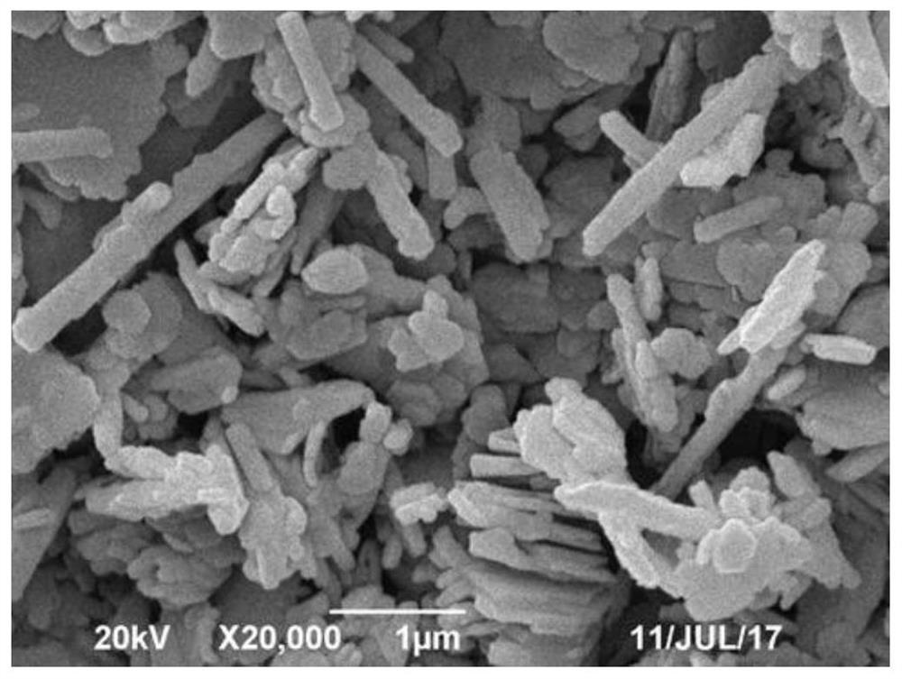 A kind of macroporous kaolinite and its preparation and application