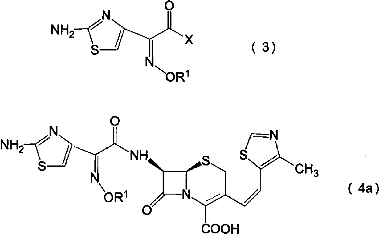 Process for preparation of cephalosporin derivative