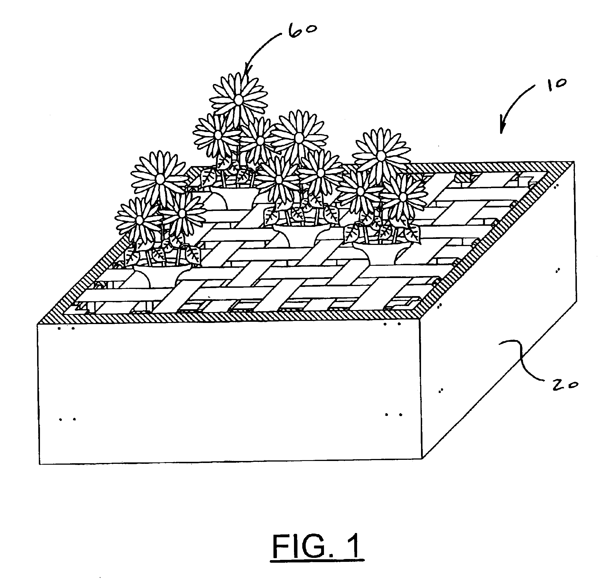 Floral transport apparatus