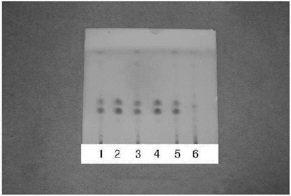 Detection method of Chinese medicinal composition for treating traumatic injuries