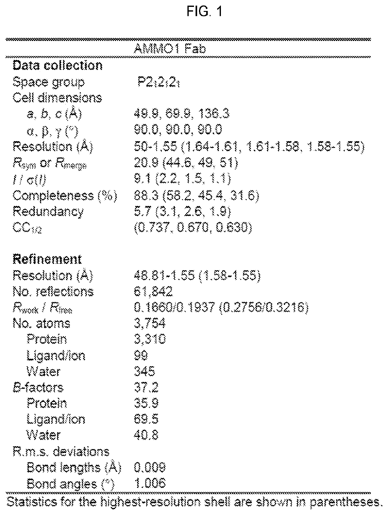 Epstein barr virus antibodies, vaccines, and uses of the same