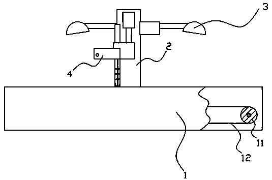 Separating machine for line signs of cuttlefish