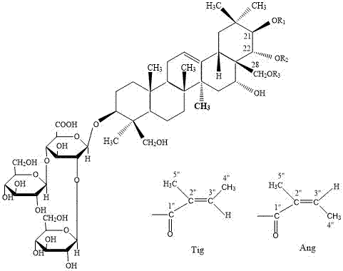 Application of semen aesculi extract to preparation of medicine for preventing and treating senile dementia