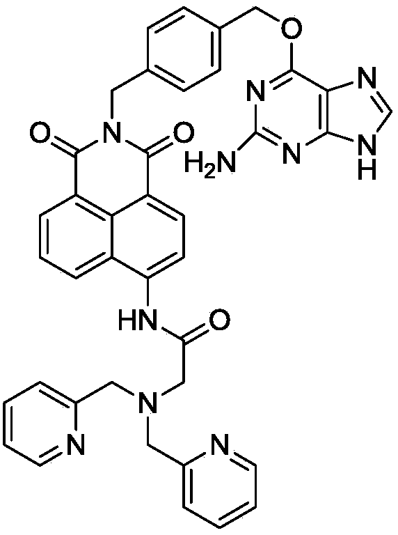 Fluorescent probe for intracellular protein labelling as well as synthesis method and application of fluorescent probe