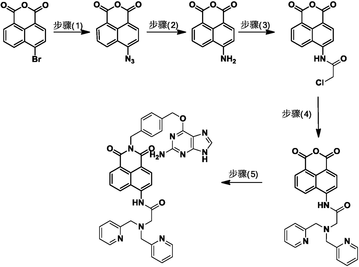 Fluorescent probe for intracellular protein labelling as well as synthesis method and application of fluorescent probe