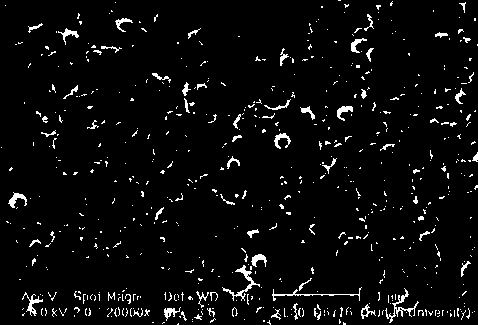 Gel polymer electrolyte containing natural high molecular material as well as preparation method and application thereof