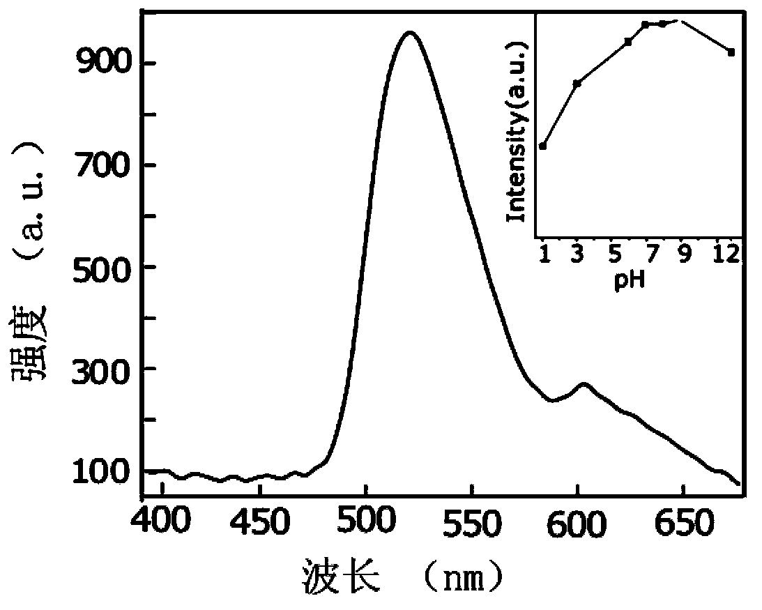 Preparation and application of nitrogen-doped graphene quantum-dot two-photon fluorescence