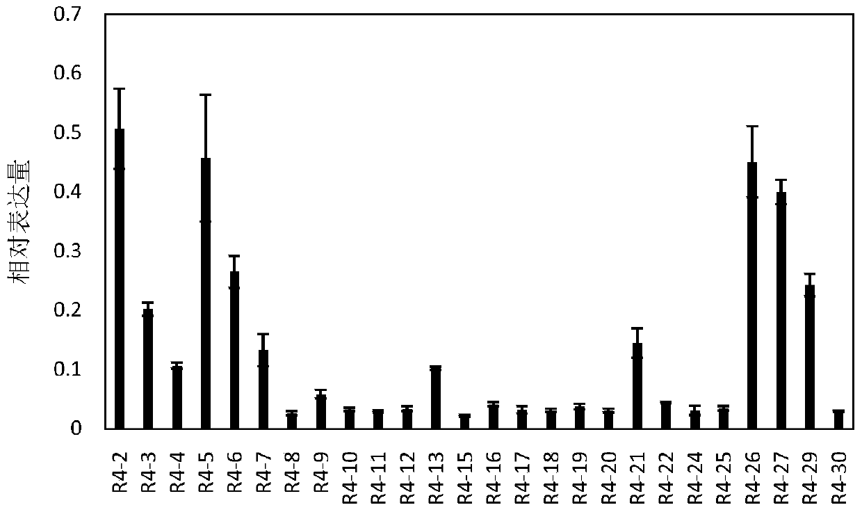 Rice gene osein2l and its application